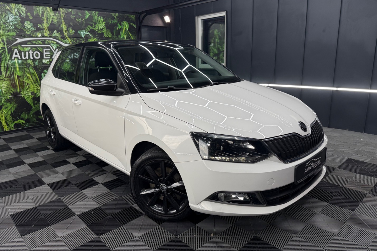 Ponuka vozidiel / Škoda Fabia 1.0 TSI 110k Ambition DSG - video