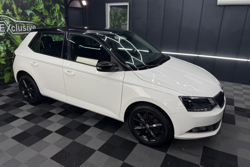  Ponuka vozidiel / Škoda Fabia 1.0 TSI 110k Ambition DSG - video