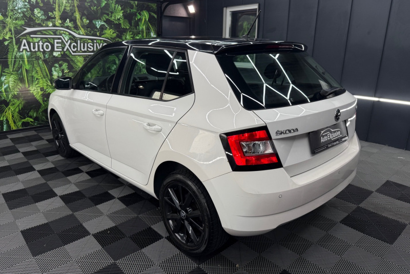  Ponuka vozidiel / Škoda Fabia 1.0 TSI 110k Ambition DSG - video